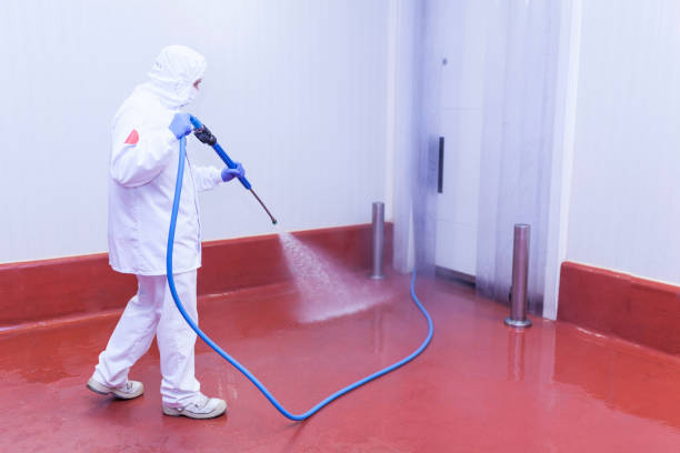 Best Concrete Sealing  in Mount Rainier, MD