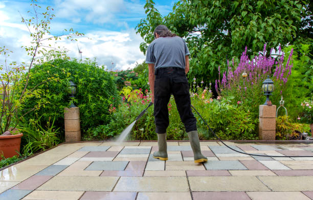 Best Sidewalk and Walkway Cleaning  in Mount Rainier, MD