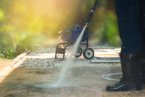 Animal Enclosure Cleaning in Mount Rainier, MD